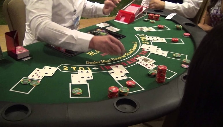 Croupier experimentado en blackjack