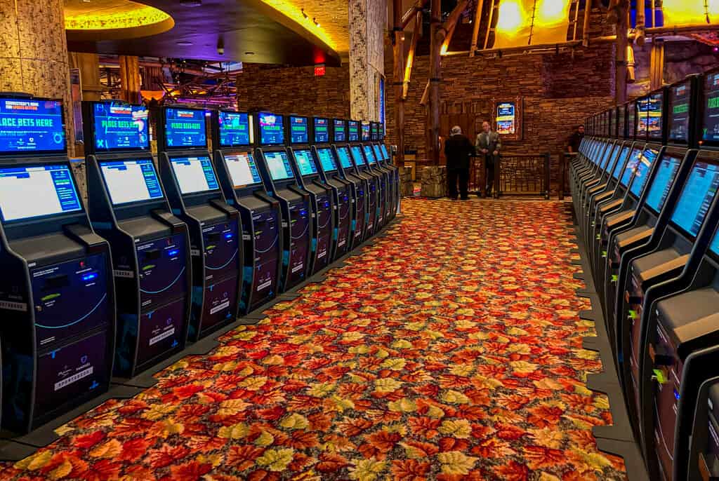 Learn Exactly How We Made casino Last Month