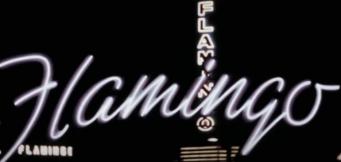 flamingo casino