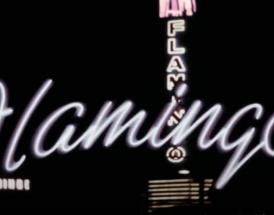 flamingo casino