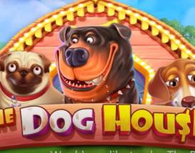 the dog house slot
