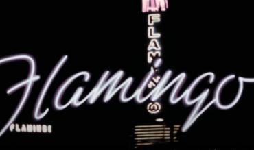 flamingo casino